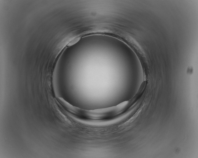 X0000091491177200708161432
