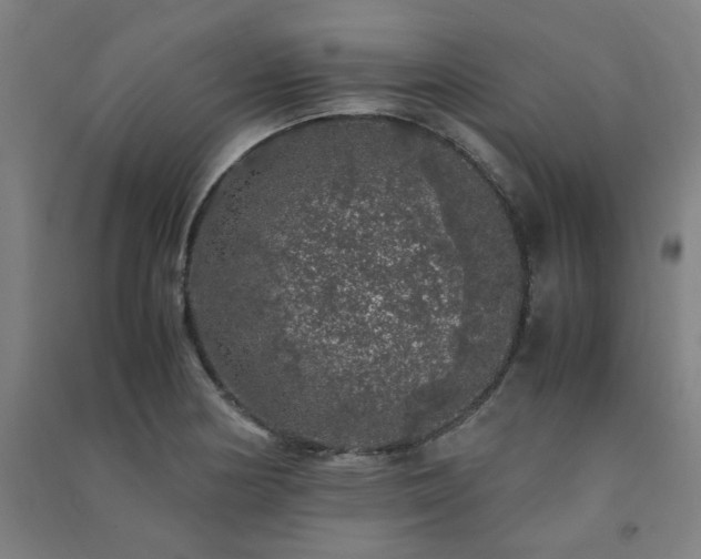 X0000091491178200708161432