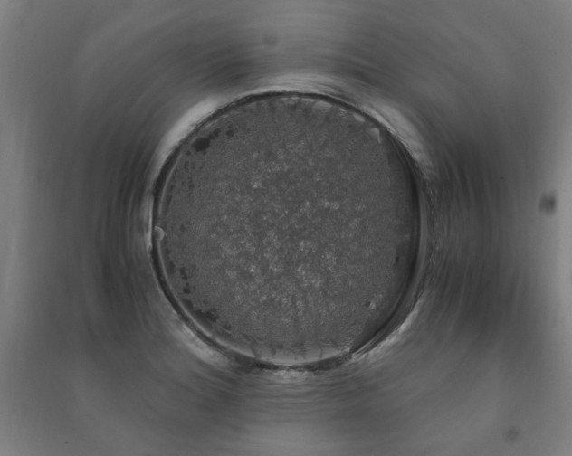 X0000091491180200708161432