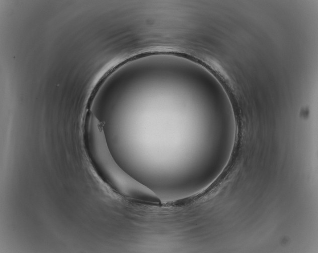 X0000091491181200708161432