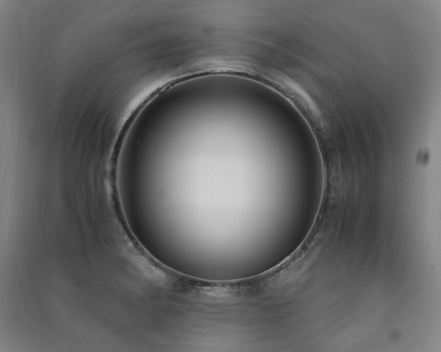 X0000091491182200708161432