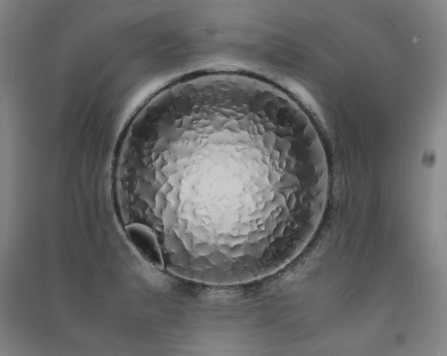 X0000091491183200708161432