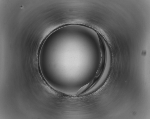 X0000091491184200708161432