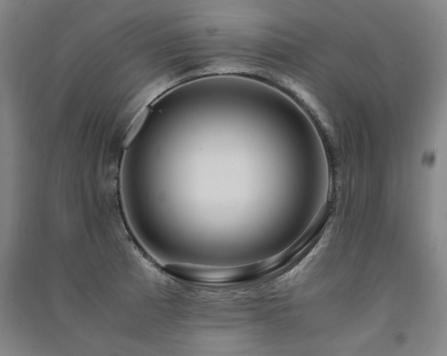 X0000091491185200708161432