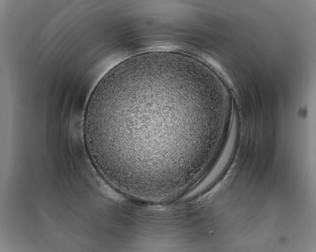 X0000091491186200708161432