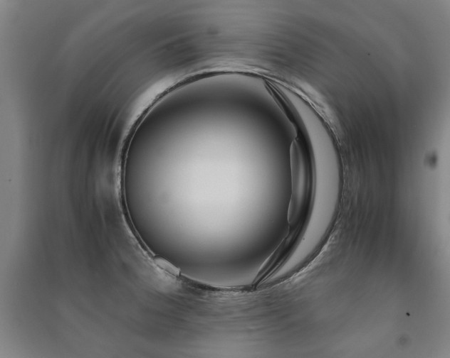 X0000091491188200708161432
