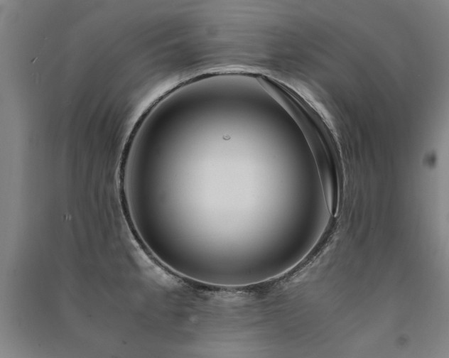 X0000091491189200708161432
