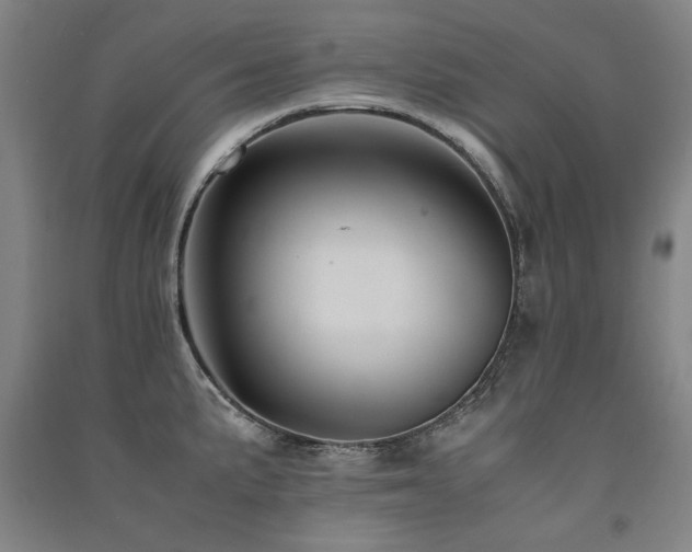 X0000091491191200708161432