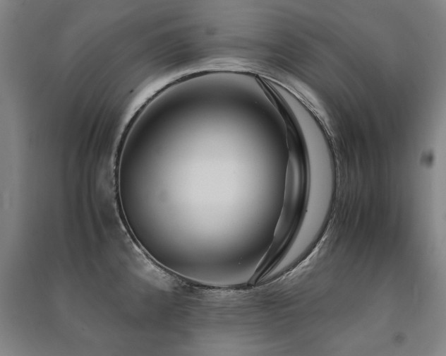 X0000091491192200708161432