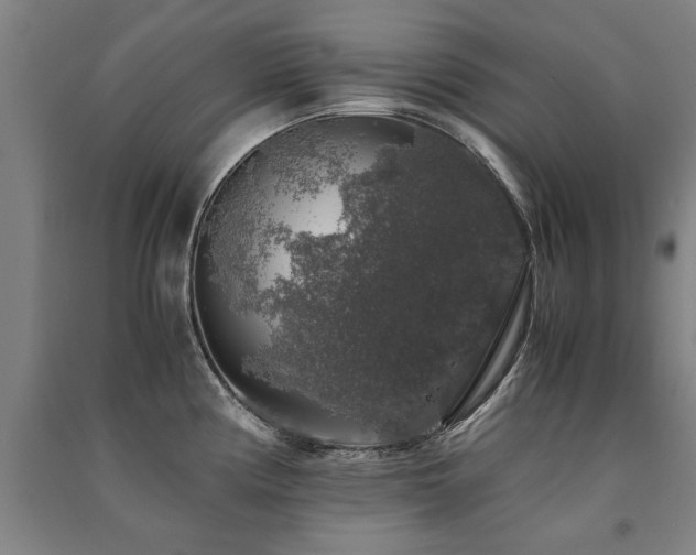 X0000091491194200708161432