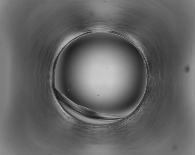 X0000091491195200708161432