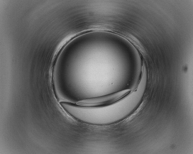X0000091491196200708161432
