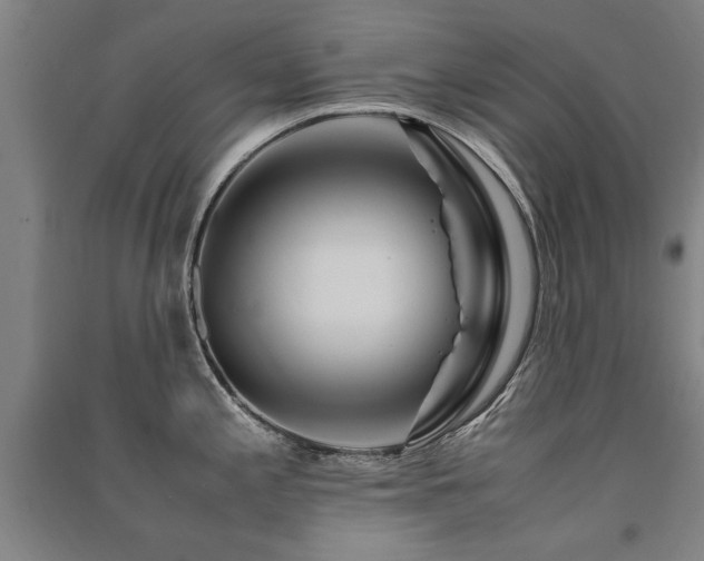 X0000091491197200708161432
