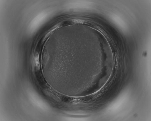 X0000091491198200708161432