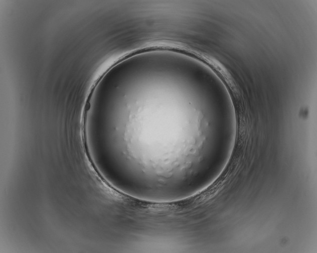 X0000091491199200708161432