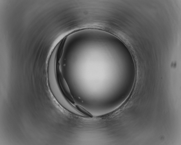 X0000091491200200708161432