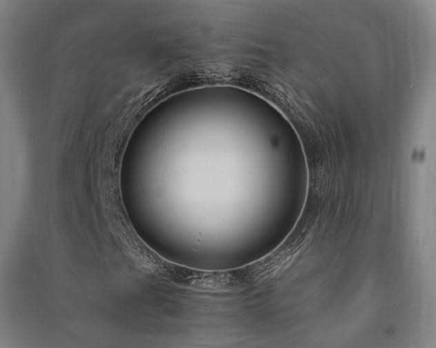 X0000091491201200708161432