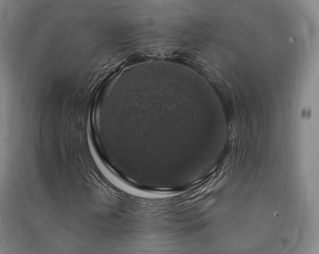 X0000091491202200708161432