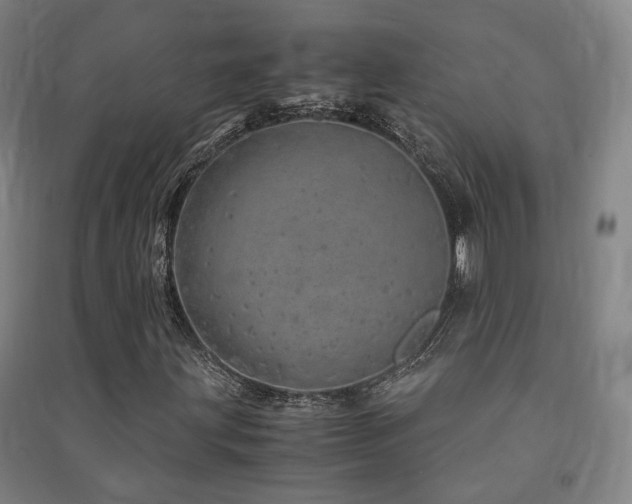 X0000091491203200708161432
