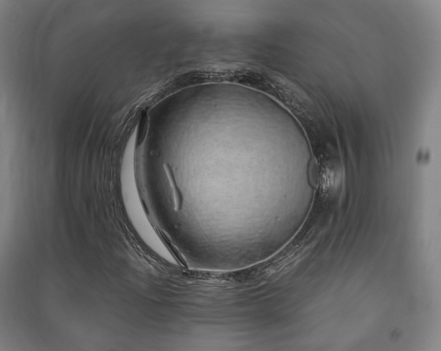 X0000091491204200708161432