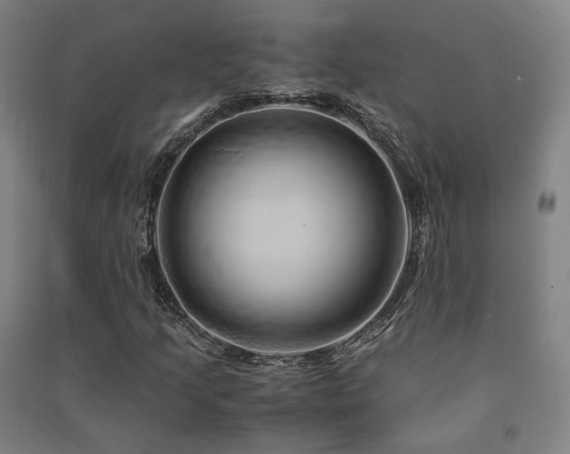 X0000091491205200708161432