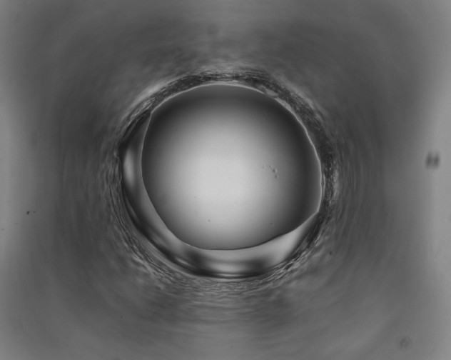 X0000091491206200708161432