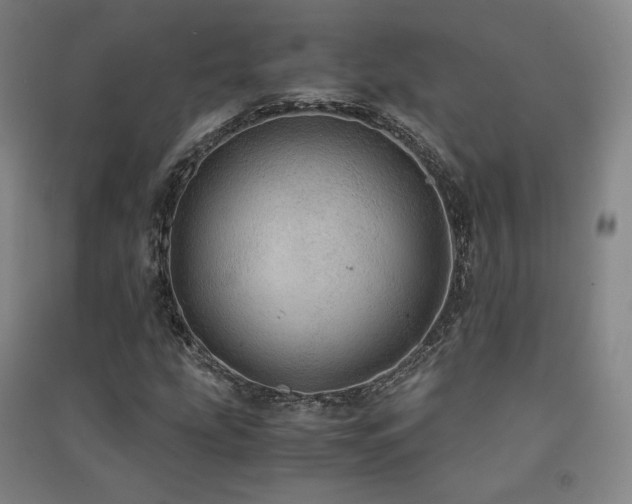 X0000091491207200708161432