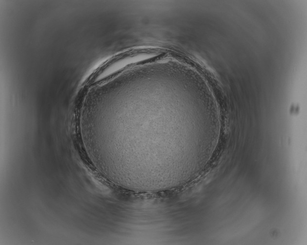 X0000091491208200708161432