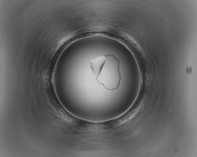 X0000091491210200708161432