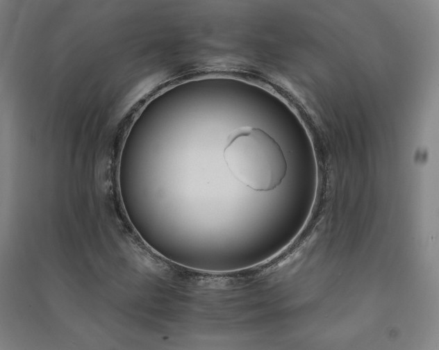 X0000091491211200708161432