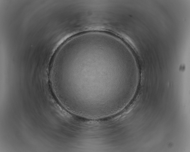 X0000091491212200708161432