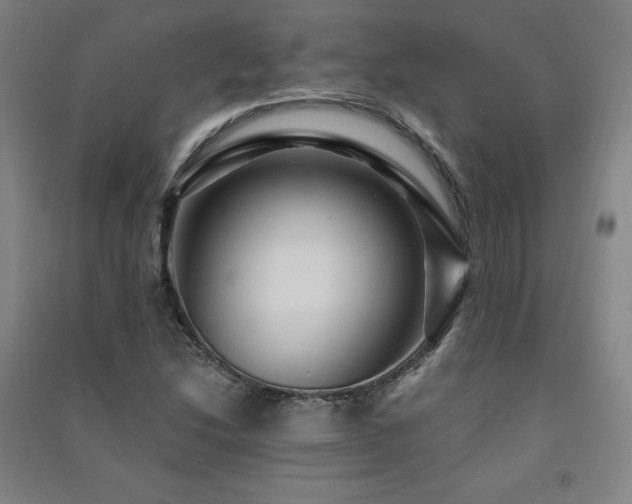 X0000091491214200708161432