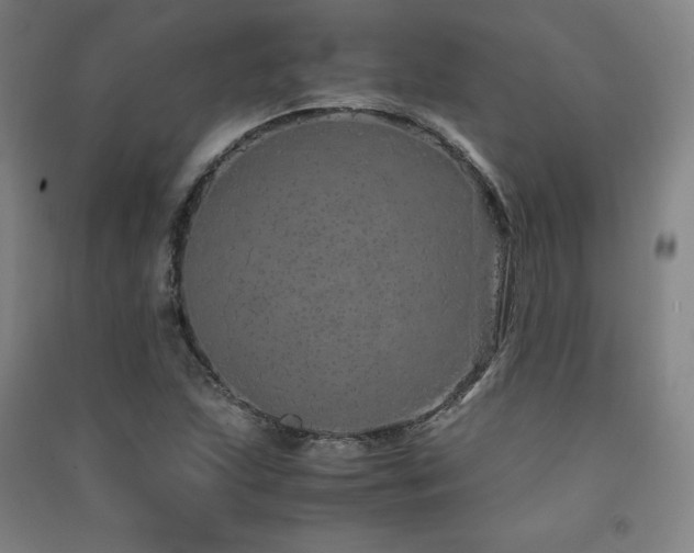 X0000091491215200708161432