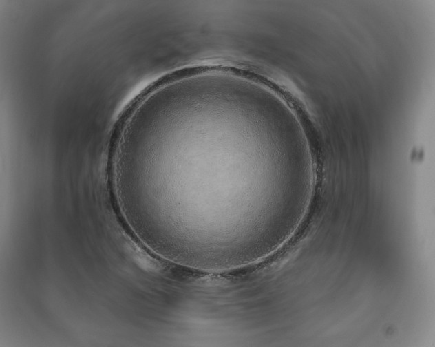 X0000091491216200708161432