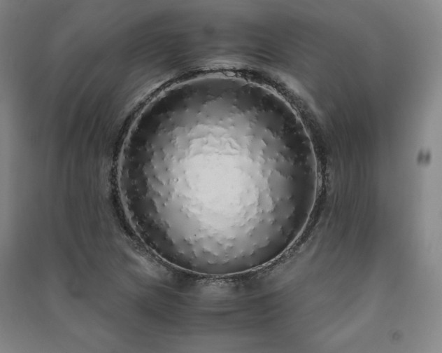 X0000091491217200708161432