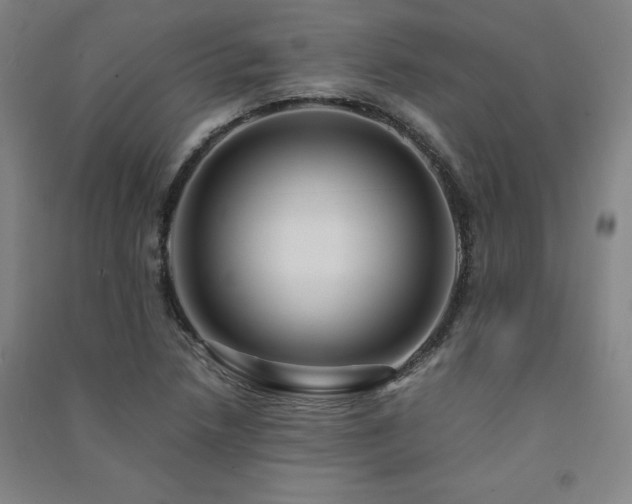 X0000091491218200708161432