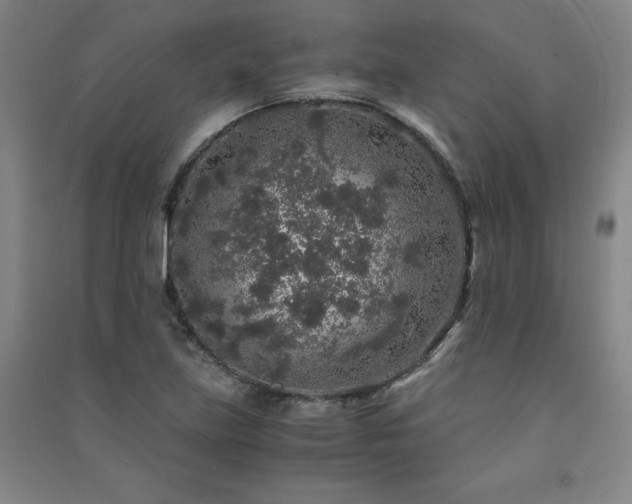 X0000091491219200708161432
