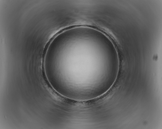 X0000091491220200708161432