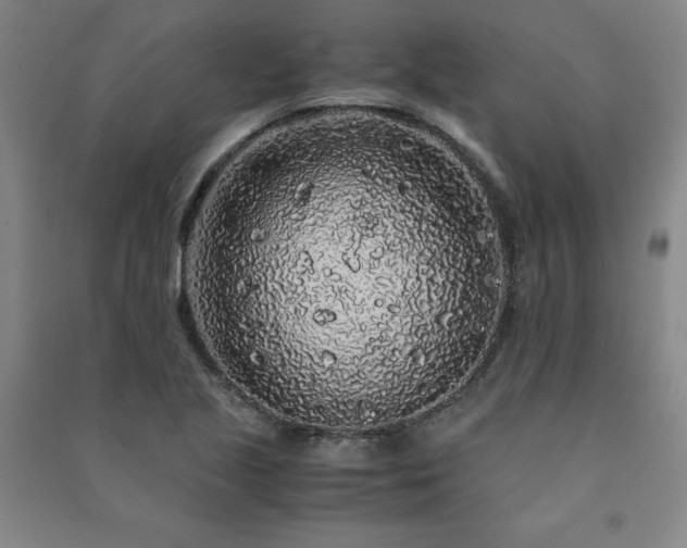 X0000091491221200708161432
