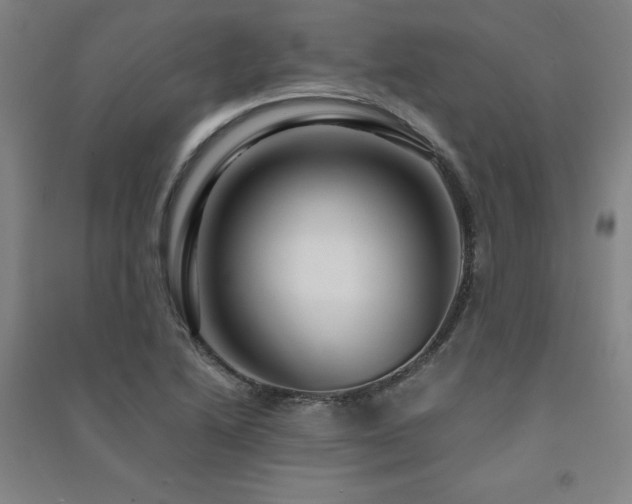 X0000091491222200708161432