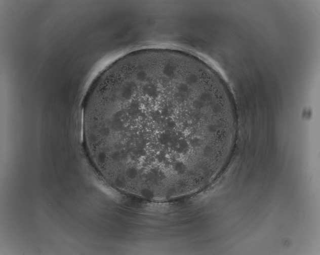 X0000091491223200708161432