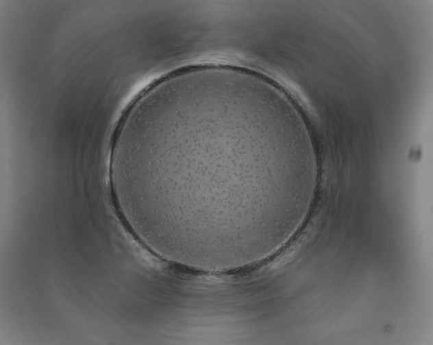X0000091491224200708161432