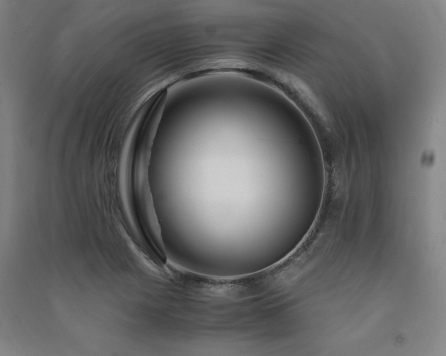 X0000091491225200708161432