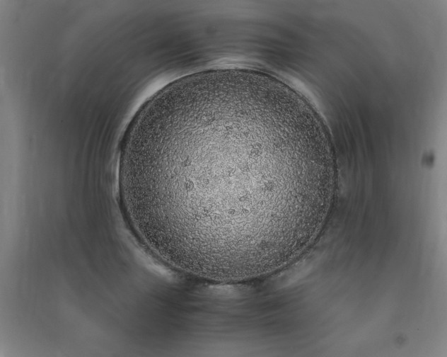 X0000091491227200708161432