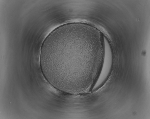 X0000091491228200708161432