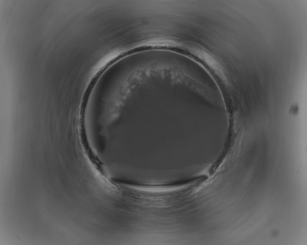 X0000091491229200708161432