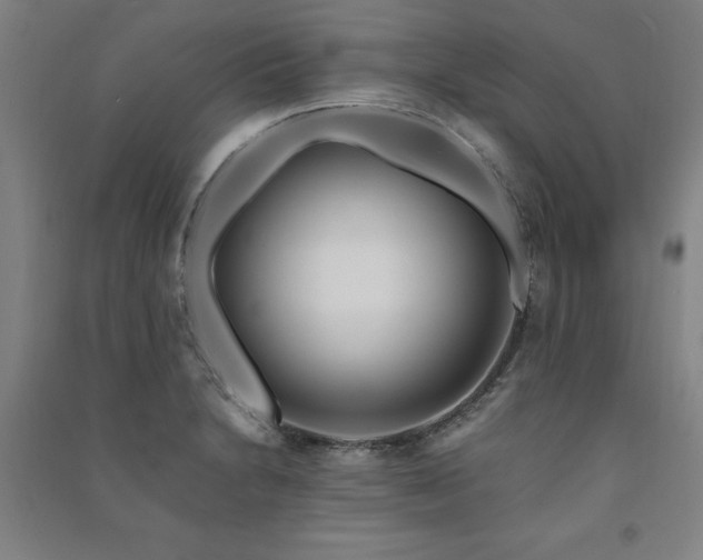 X0000091491230200708161432