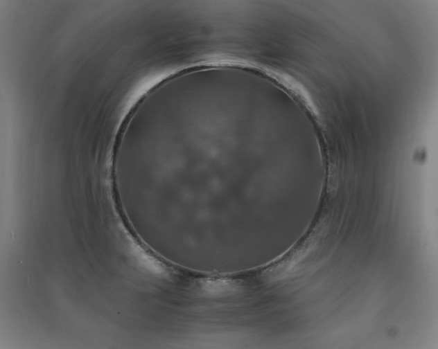 X0000091491231200708161432
