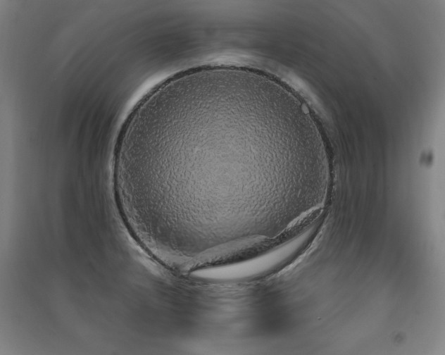 X0000091491232200708161432