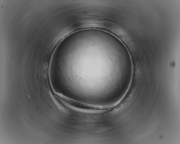 X0000091491233200708161432